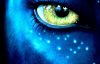 Avatar gebruiker